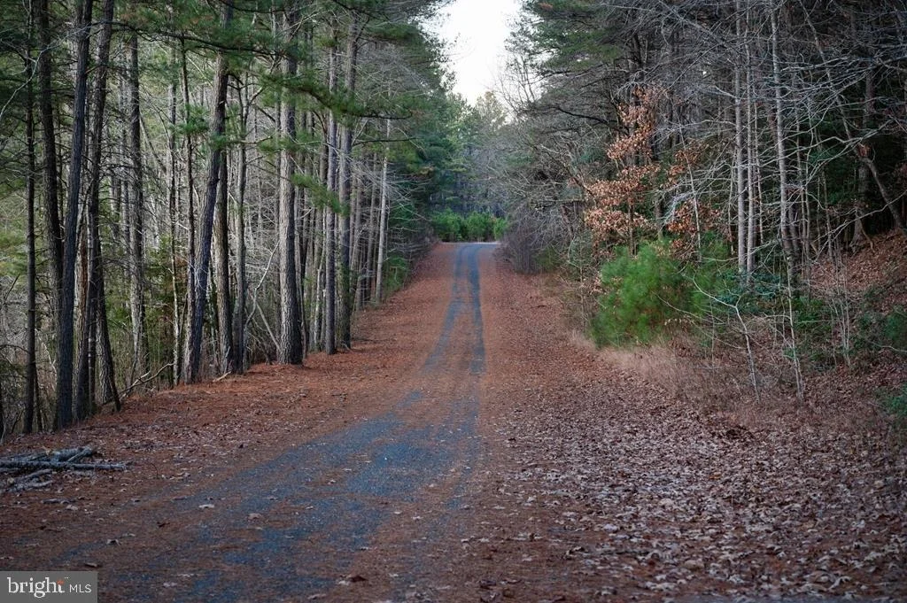 Photo of Lot 2020 CAPTAIN'S CORRIDOR