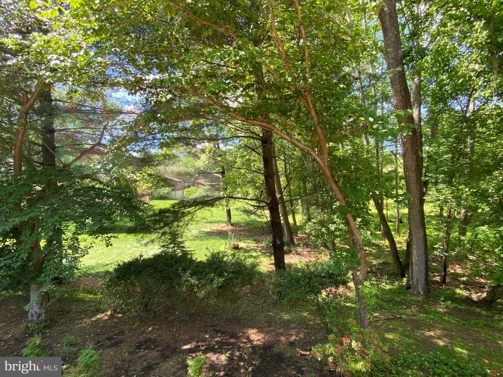 Photo of 11004 BROAD GREEN DRIVE