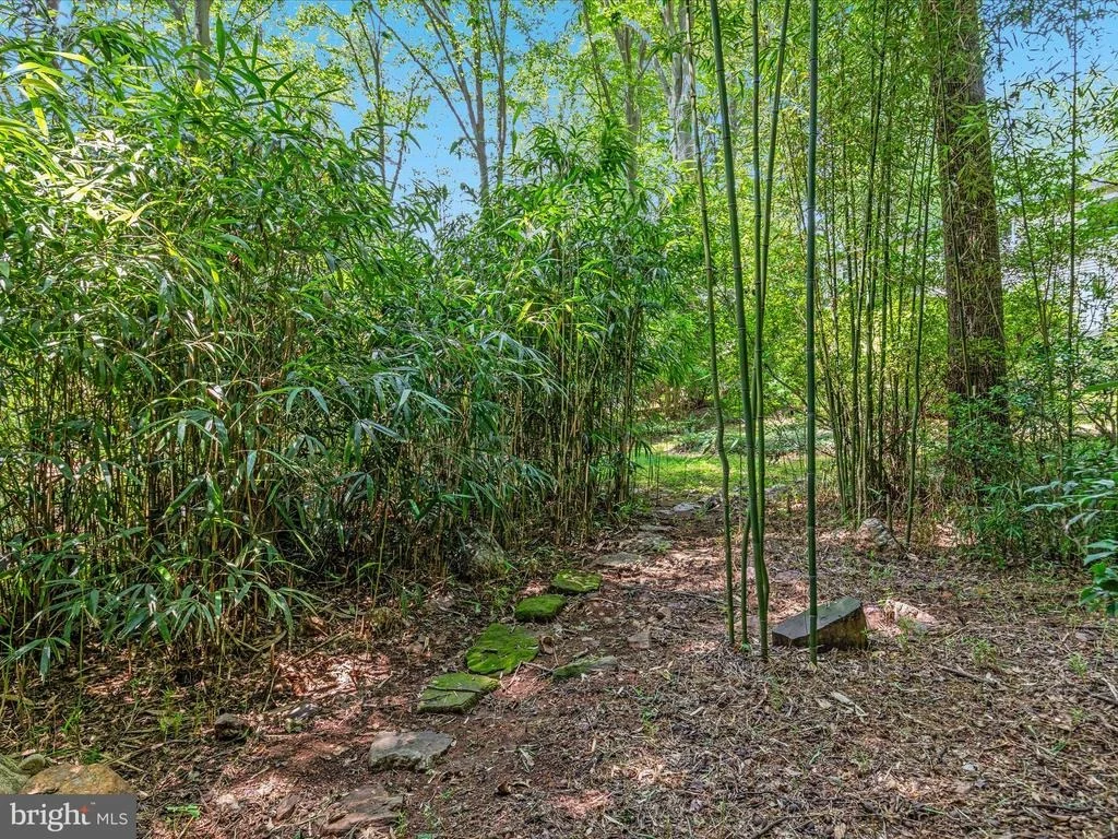 Photo of 13209 JOHNNY MOORE LANE