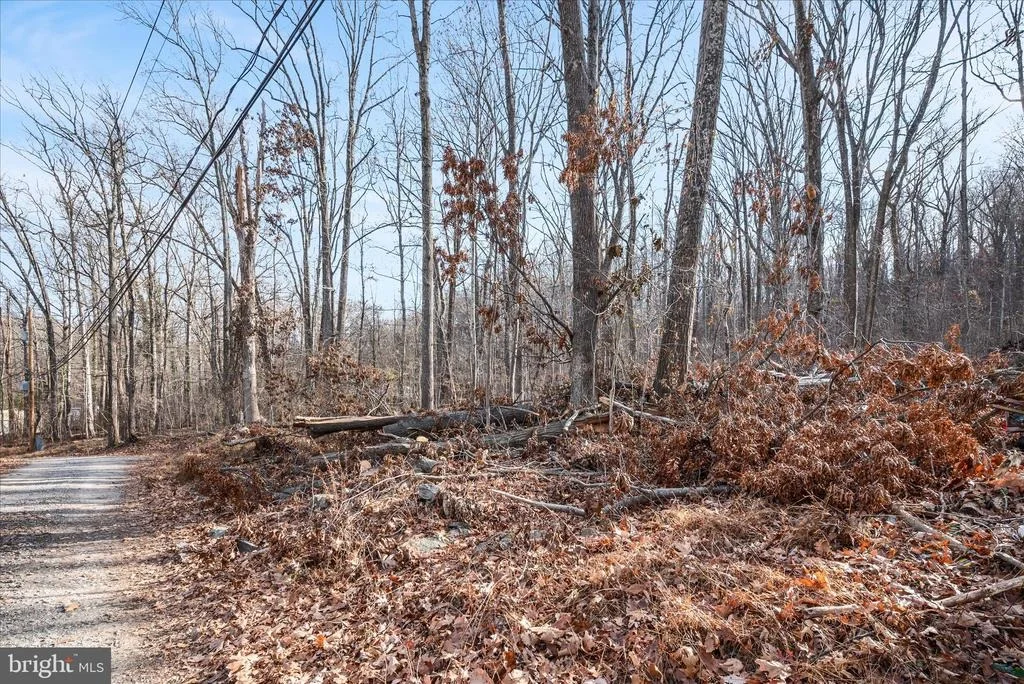 Photo of Lots 115, 116, 210 RED MAPLE LANE