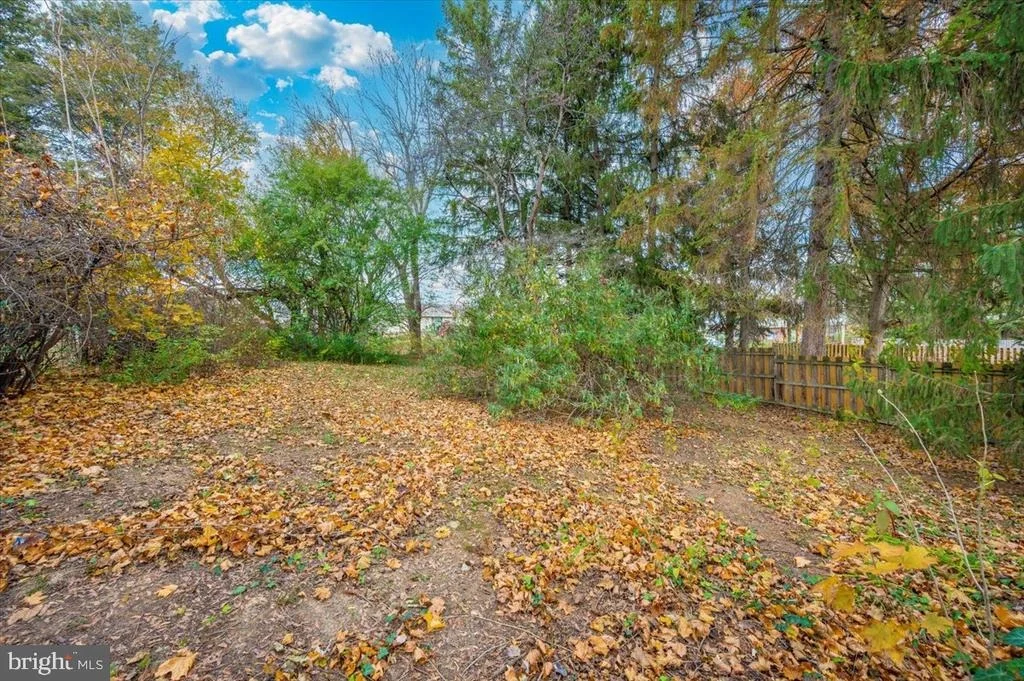 Photo of 239 DEVONSHIRE ROAD NE