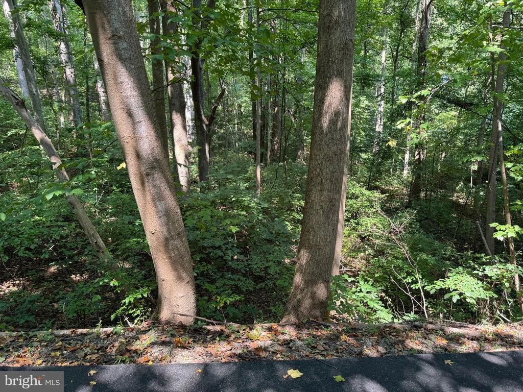 Photo of 4685 CAMP ROOSEVELT DRIVE