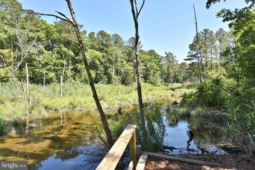 Photo of 133 SHADY RIDGE DRIVE