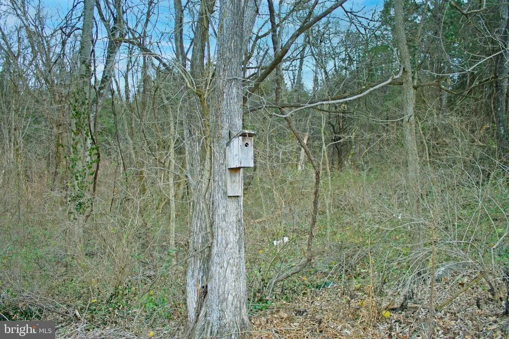 Photo of 8103 AVIS MILL ROAD
