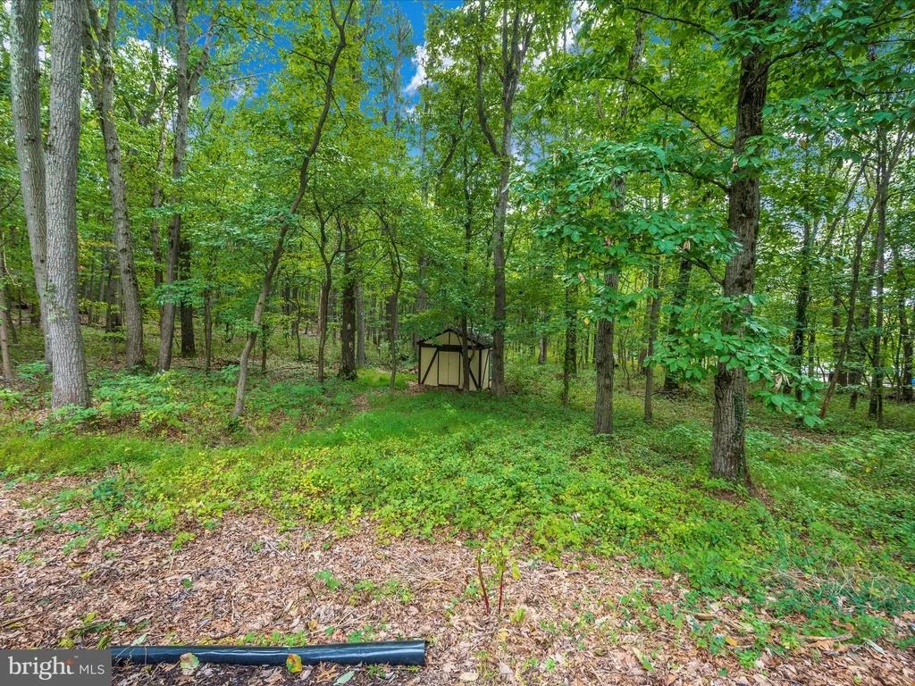 Photo of 11000 BRINK ROAD