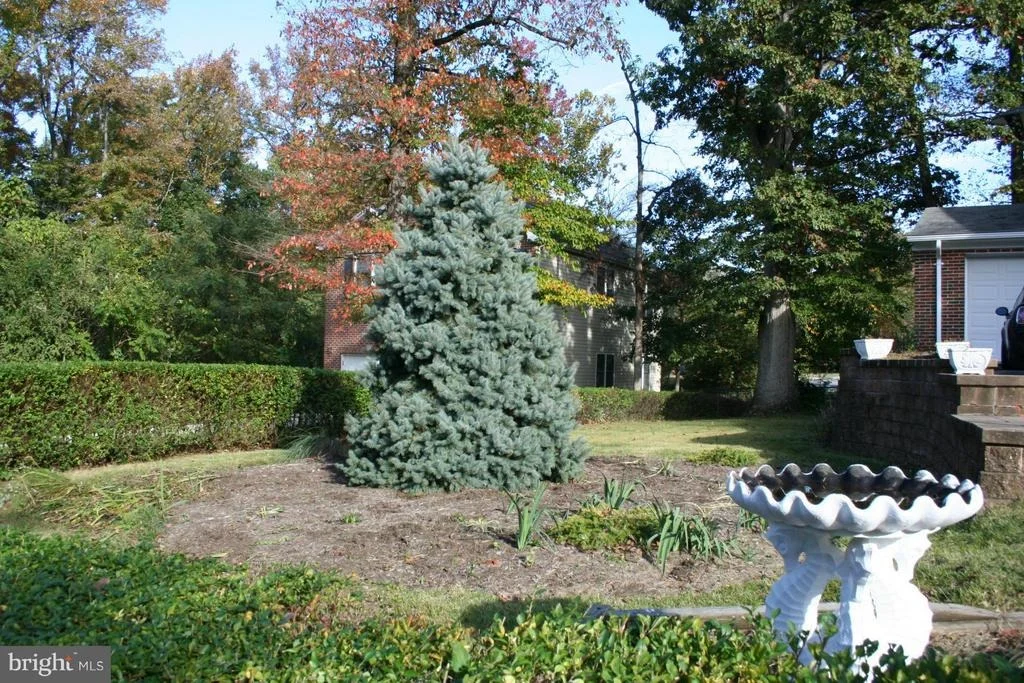 Photo of 6202 JOYCE DRIVE