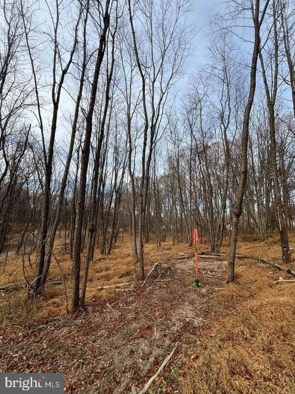 Photo of Unit WALBERT at 6468 GENERAL DRIVE