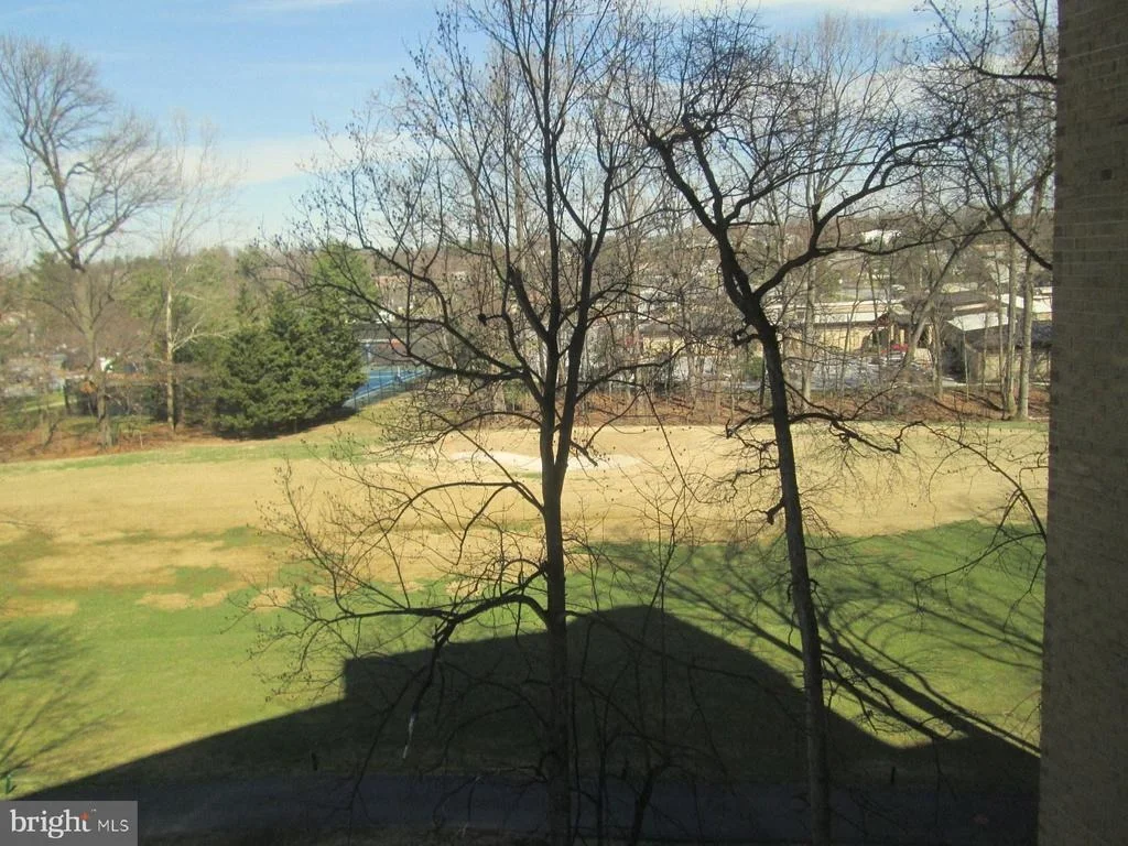 Photo of Unit 4511 at 15100 INTERLACHEN DRIVE
