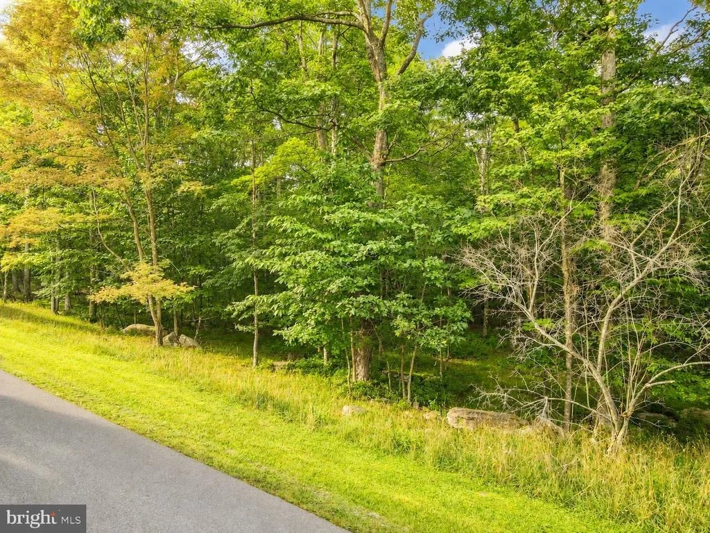 Photo of 97 MOUNTAINTOP ROAD