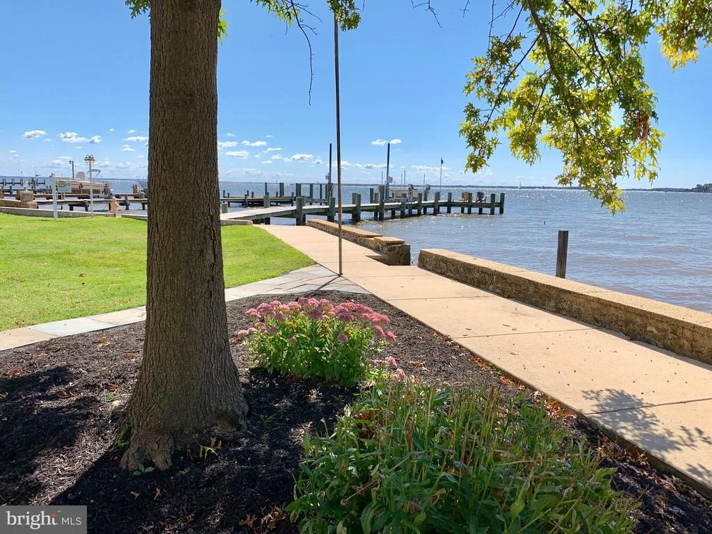 Photo of 3539 BAY DRIVE