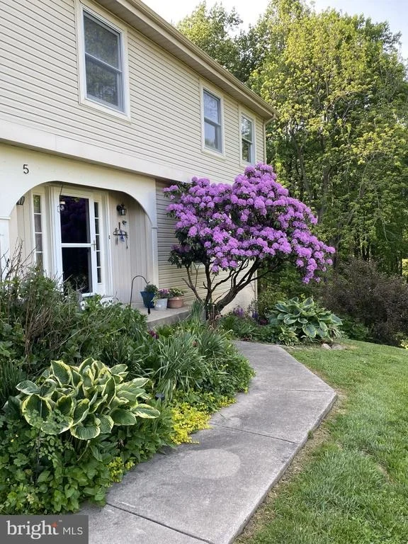 Photo of 5 ROOSEVELT WAY