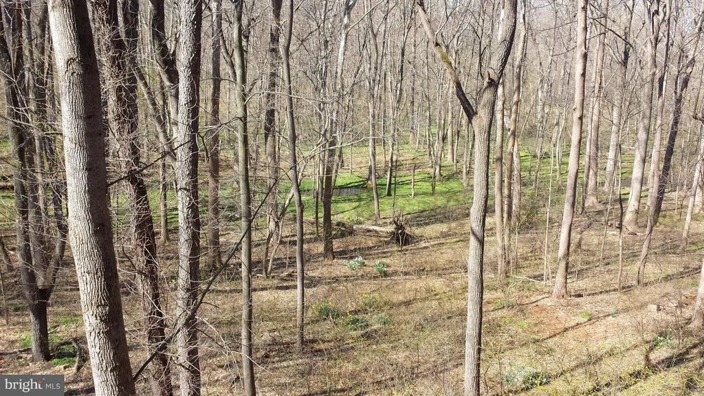Photo of 725 SPRINGLOCH ROAD