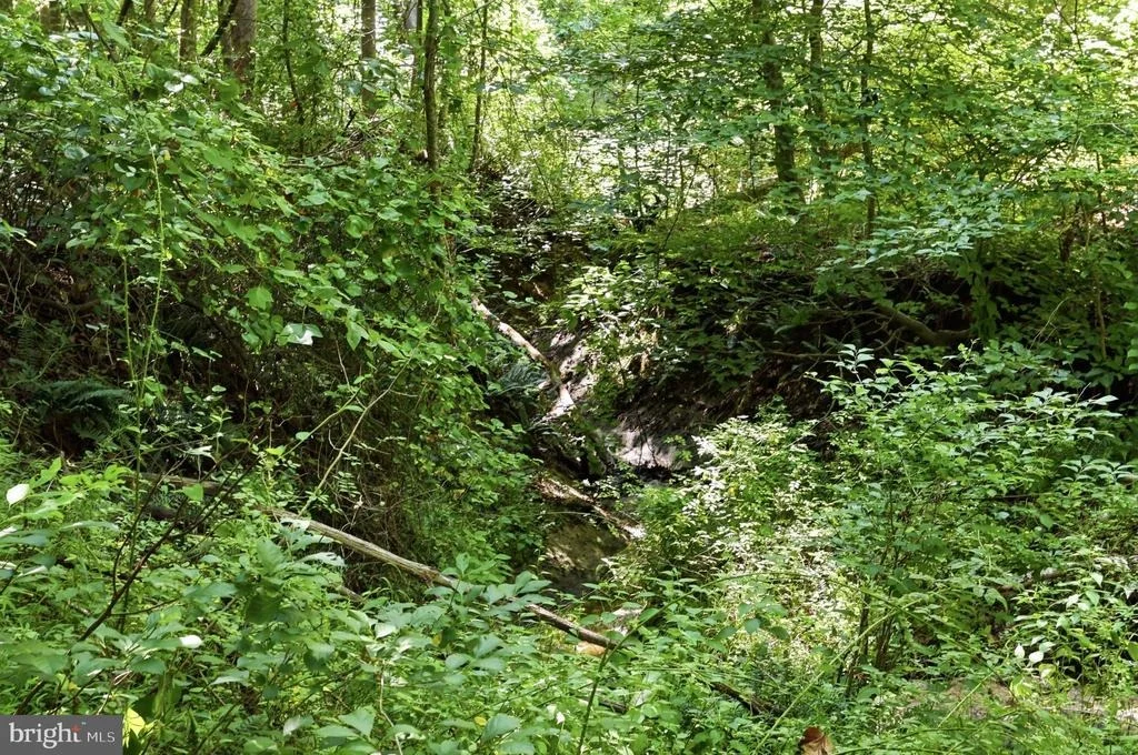 Photo of 13729 MARTIN ROAD