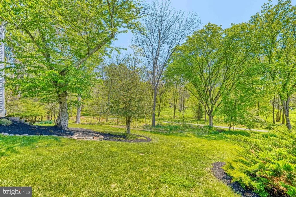 Photo of 4645 OLD DRAGON PATH