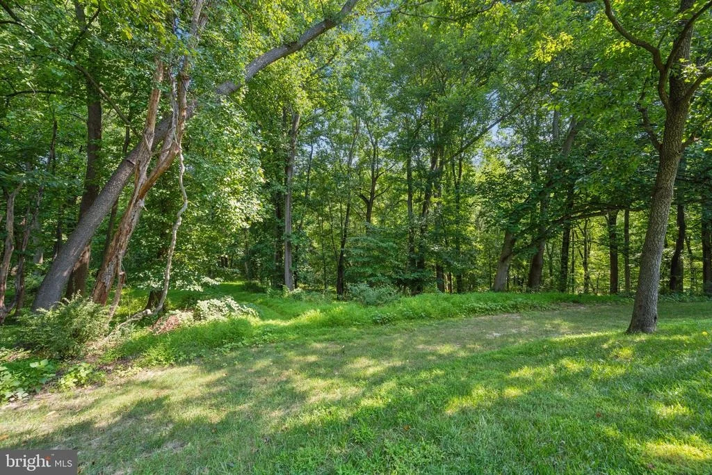 Photo of 17026 BARN RIDGE DRIVE