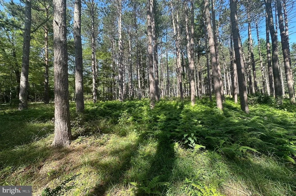 Photo of LOT 25 HOLY CROSS DRIVE