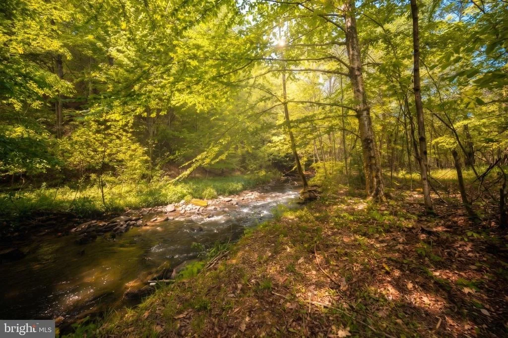 Photo of 259 RESH LANE