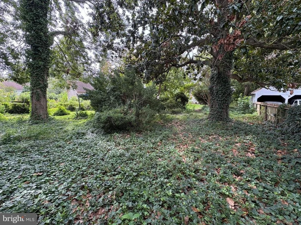 Photo of 108 WILSON STREET