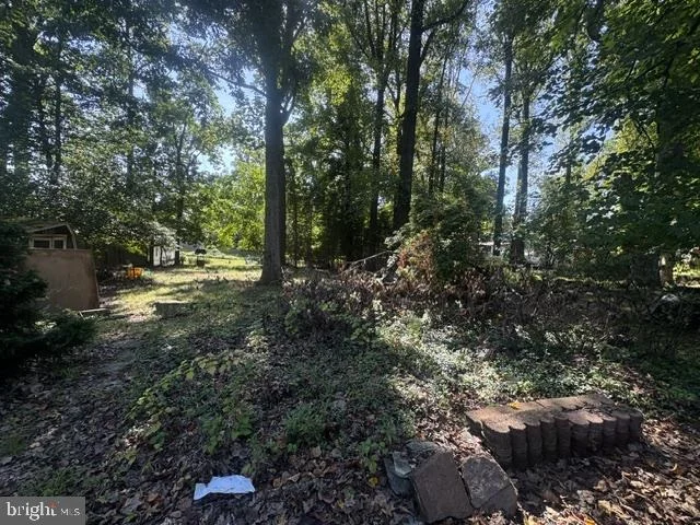 Photo of 2603 STEELE ROAD