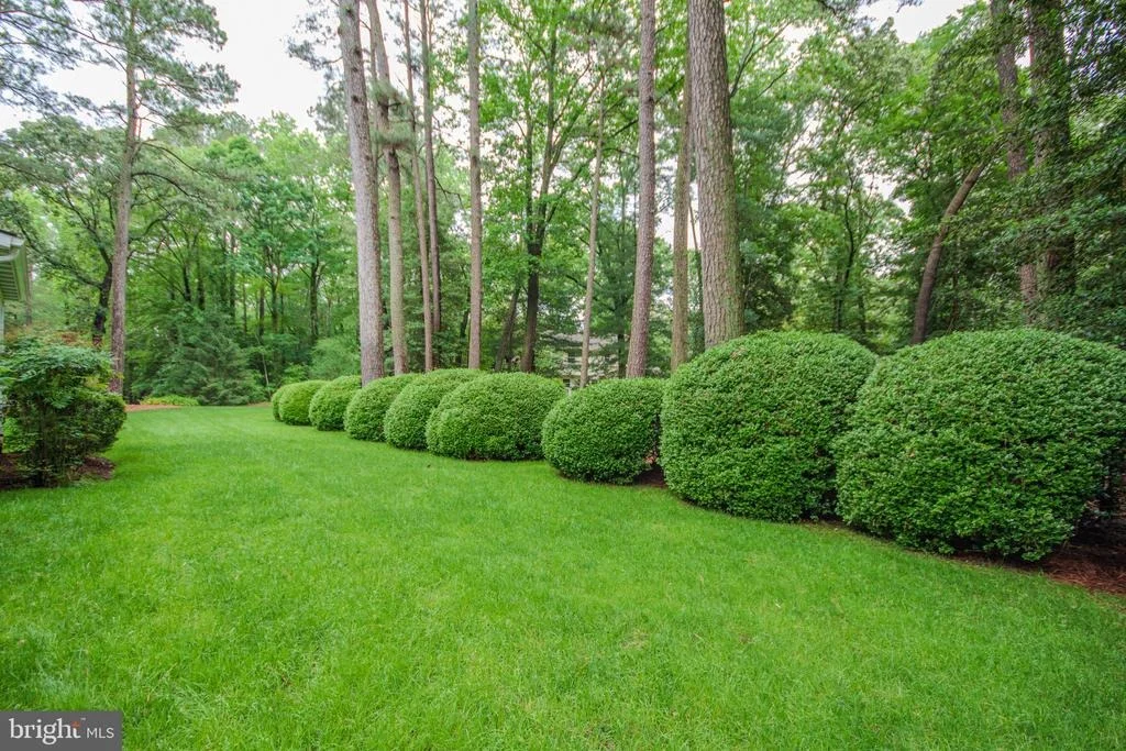 Photo of 29745 JACKSON ROAD