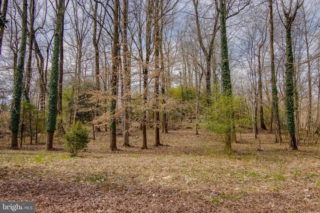 Photo of 4082 OLD MUDDY CREEK ROAD
