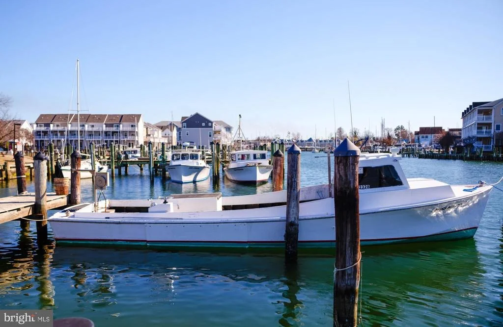 Photo of 343 SHIPYARD DRIVE