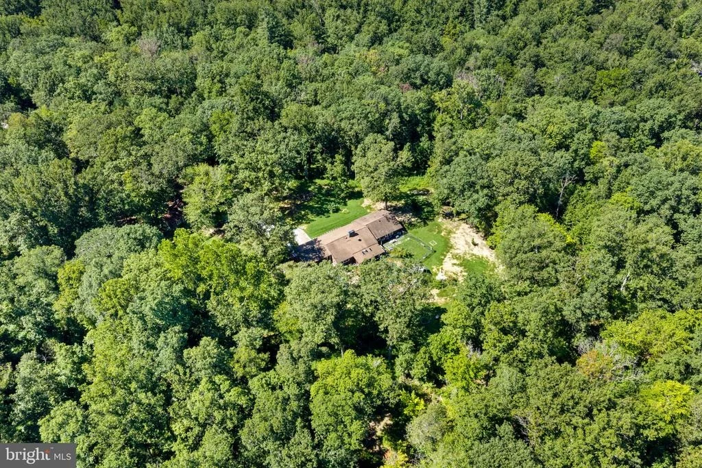 Photo of 6157 WILSON ROAD