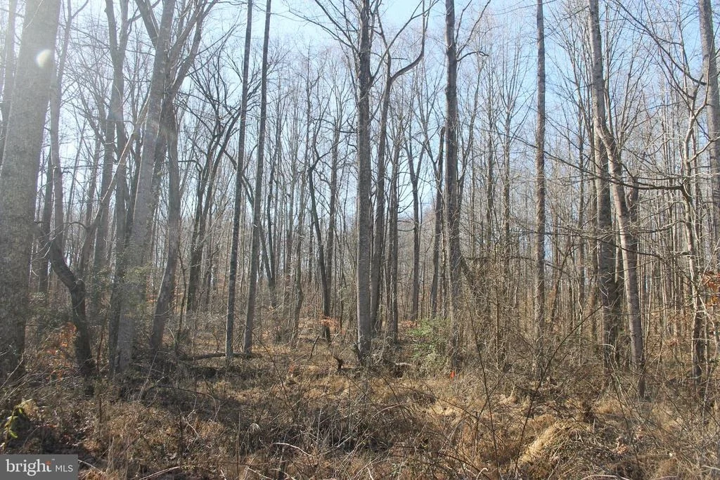 Photo of 6131 MILES LANE