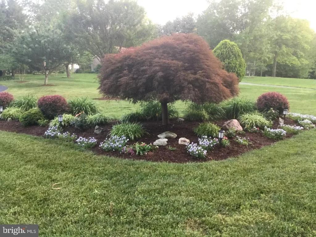 Photo of 65 WIMBLEDON DRIVE