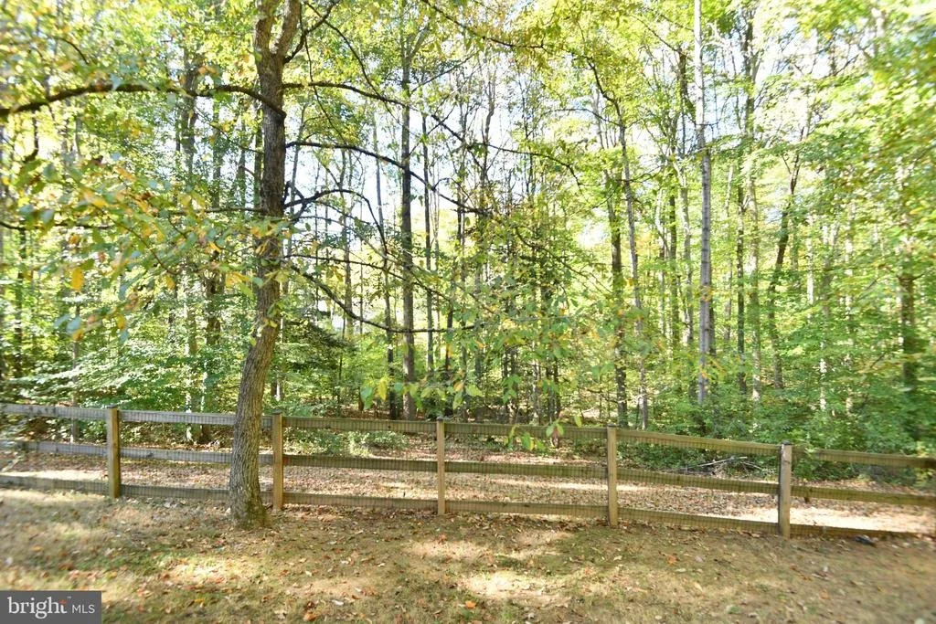 Photo of 11024 TIMBERVIEW DRIVE