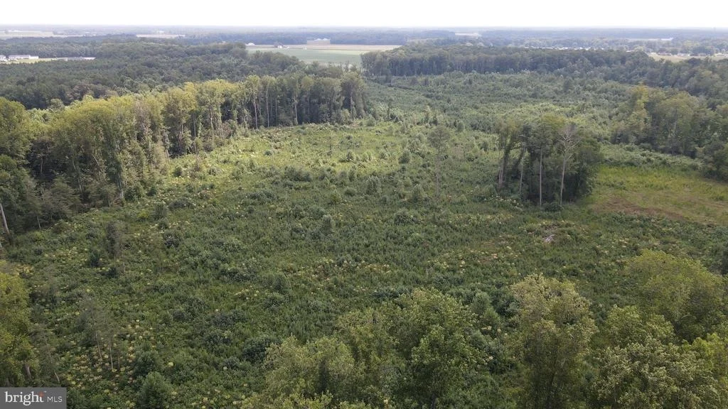 Photo of 18.271 ac., Tract 5 SHORTLY RD.