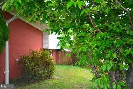 Photo of 4518 VENABLE AVENUE
