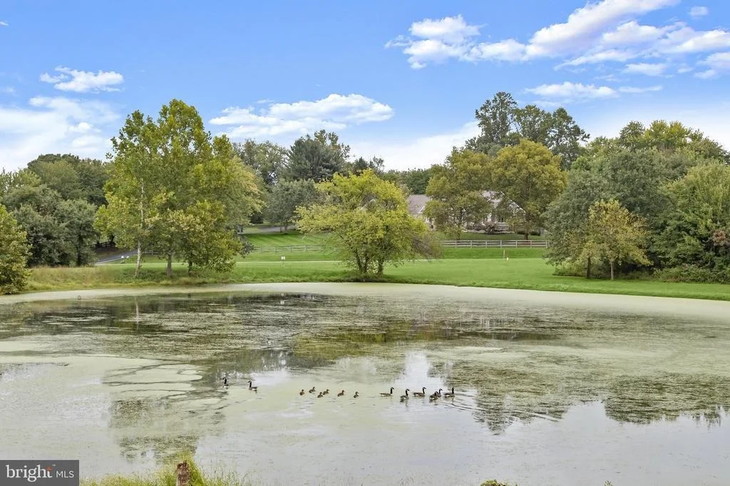 Photo of 4175 THOMAS DRIVE