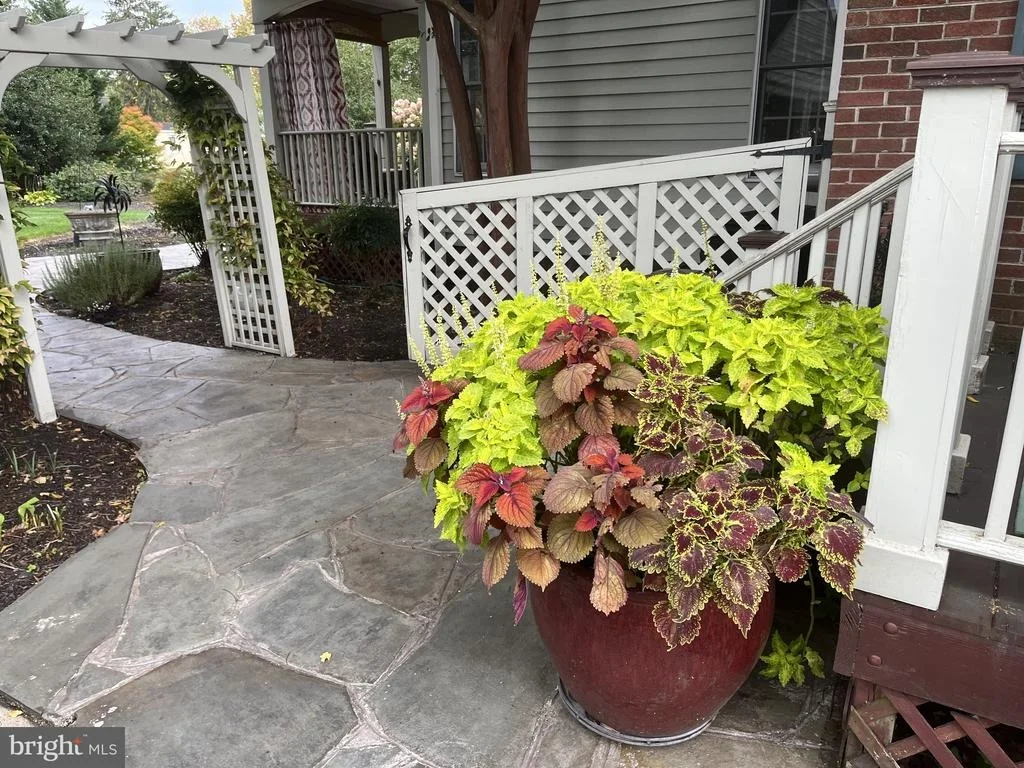 Photo of 9107 MAIN STREET
