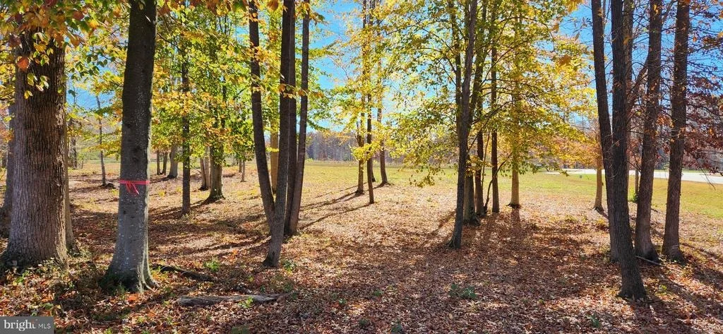 Photo of LOT 9 RAINBOW RIDGE