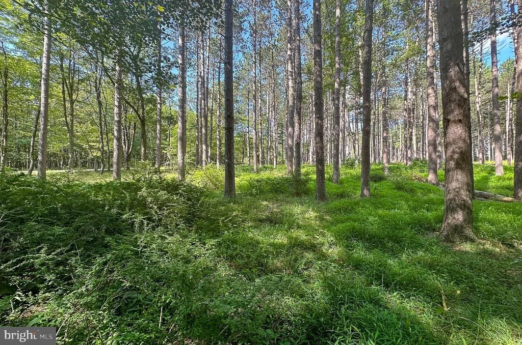 Photo of LOT 25 HOLY CROSS DRIVE