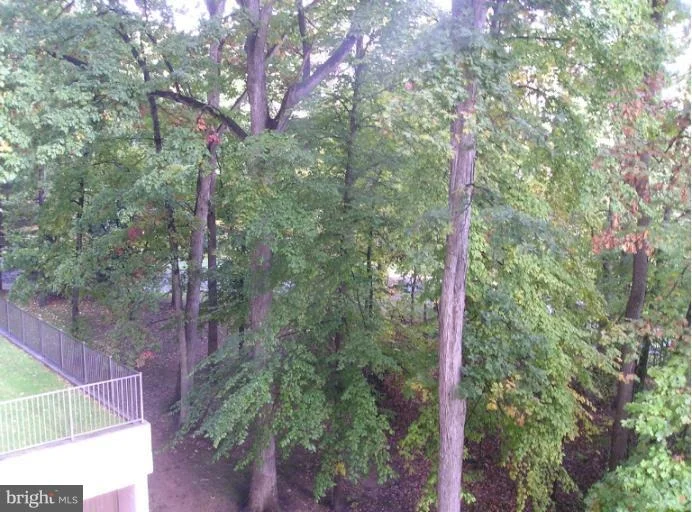 Photo of Unit 4324 at 15100 INTERLACHEN DRIVE