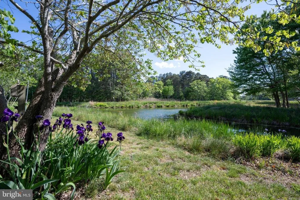 Photo of 106 SEAGULL DRIVE