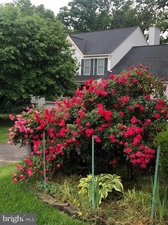 Photo of 11002 CROSS LAUREL DRIVE