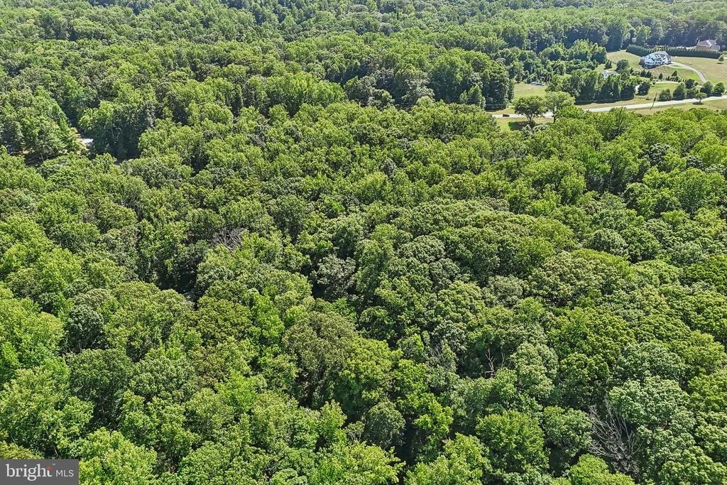 Photo of 810 GOVERNOR BRIDGE ROAD