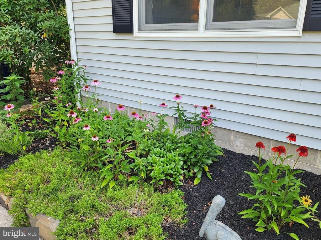 Photo of 19605 DOE DRIVE