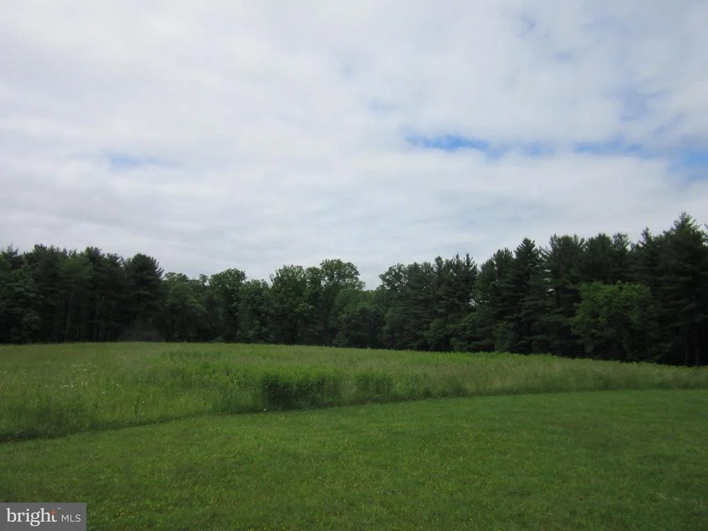 Photo of 