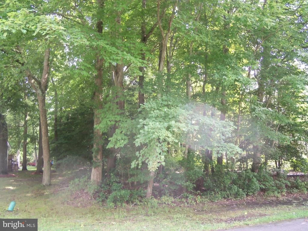 Photo of Lot 20 BALSA