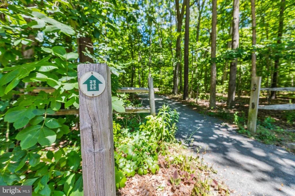 Photo of 11 BURR HILL DRIVE