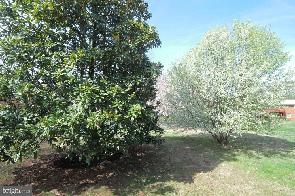 Photo of 8904 CHERRY TREE LANE
