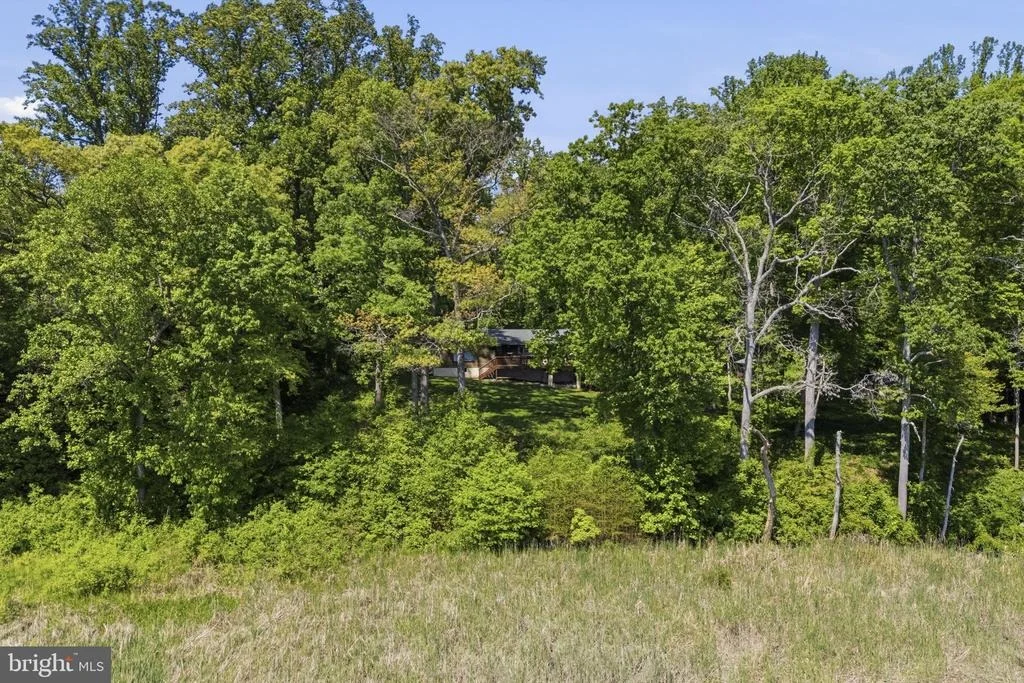 Photo of 137 PLUM POINT ROAD