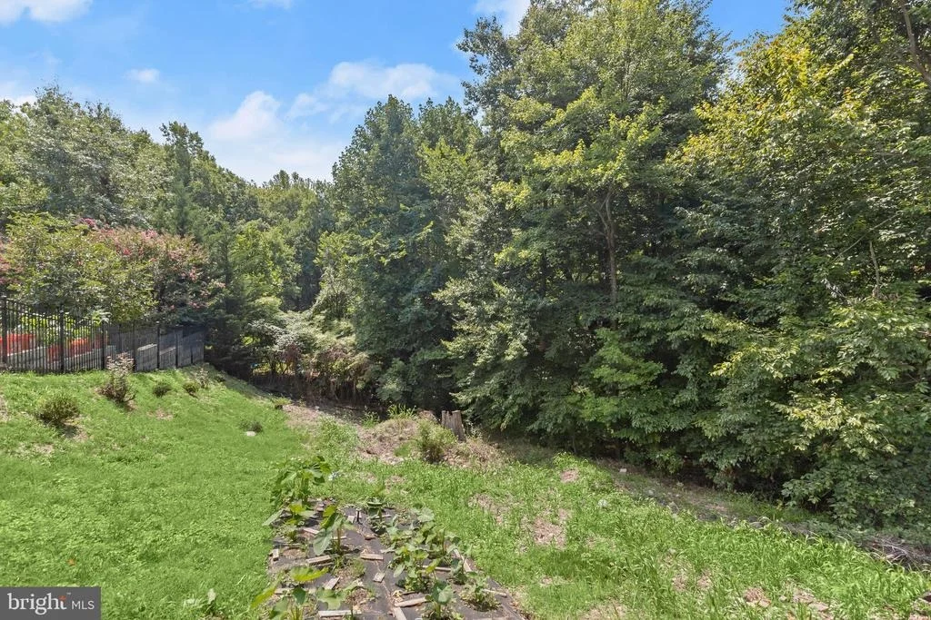 Photo of 6354 FOREST AVENUE