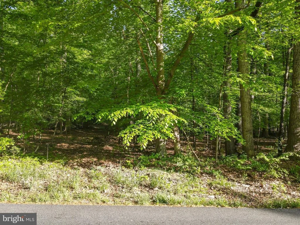 Photo of 13314 FOREST DRIVE