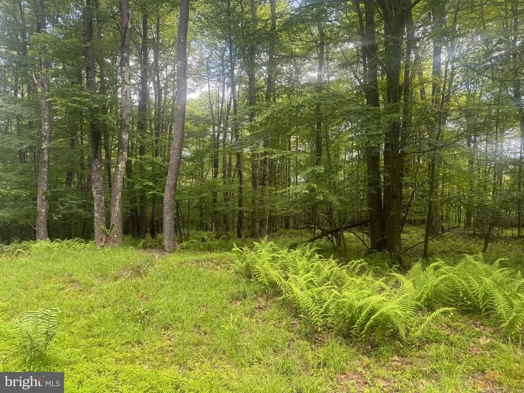 Photo of Lot 18 BUCK DRIVE