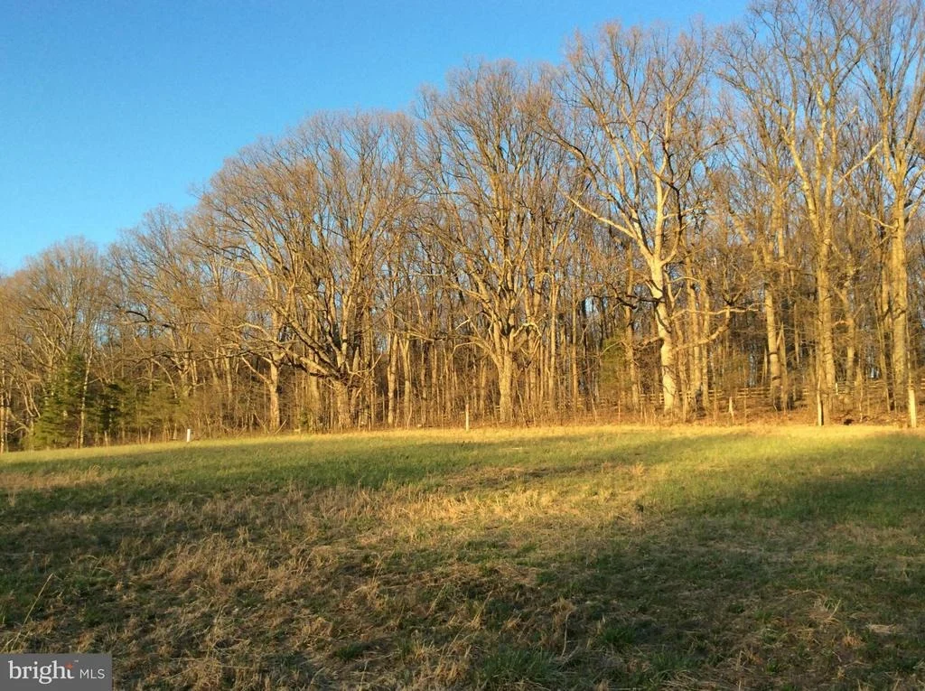 Photo of 11326 DAYSVILLE ROAD